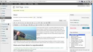 Using Wordpress Templates [upl. by Camile358]