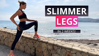 SLIMMER LEGS IN 14 DAYS  lose thigh fat  tone legs  No Equipment [upl. by Naylor445]