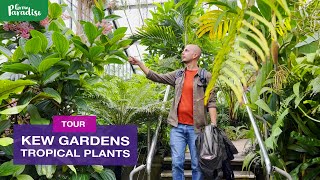 Kew Gardens tropical amp exotic plant tour [upl. by Winny]