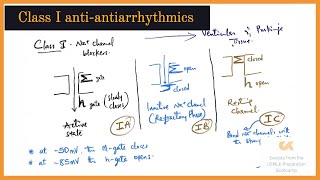 Class I Antiarrhythmics  UPB Lectures [upl. by Vanderhoek698]