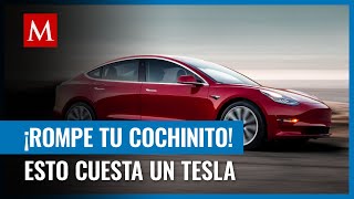 ¿Cuánto cuesta un Tesla y cuál es el más barato [upl. by Oiceladni]