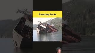 Amazing facts about amazingfacts factbeast interestingfacts amazing shorts [upl. by Whitney477]