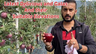 Latest Delicious and Gala Apple varieties and their suitable elevation [upl. by Yelnik669]