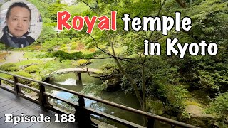 Shorenin temple The royal temple in Kyoto Deep Japan 青蓮院 [upl. by Ordnassela531]