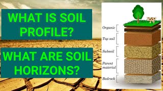 Soil Profile  Soil horizons [upl. by Reivaj]