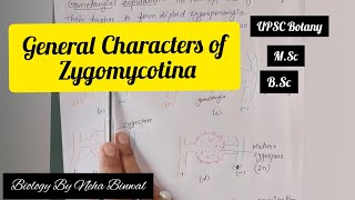 General Characters of Zygomycotina l Biology By Neha Binwal l UPSC Botany l NEET l MSc l BSc [upl. by Aerdnad]