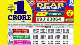 DEAR TOUCAN SUNDAY WEEKLY LOTTERY TODAY RESULT 8 PM 110824latest lottery result [upl. by Symer132]