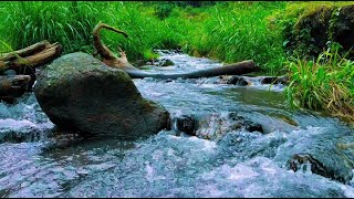 Mountain Stream Nature Sounds Natures Curing Lullaby for Deep Sleep Relax amp Meditation 31 [upl. by Costa]