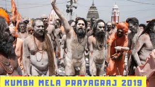 Kumbh Mela 2019 ll Best Vlog ll Naga Sadhus ll Prayagraj Allahabad  YouTuber Harsh Vlogs [upl. by Kenny]