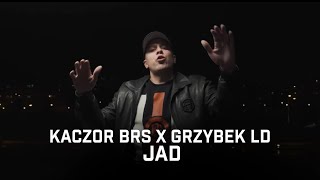 Kaczor BRS ft Grzybek LD  Jad [upl. by Hsiri204]