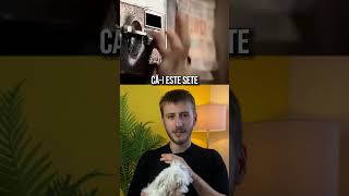 Ce preferi  Cola sau Pepsi shorts curiozități reaction reacție memes marketing [upl. by Jerrine]