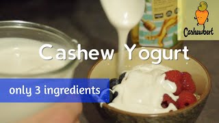 Cashew Yogurt [upl. by Bender]