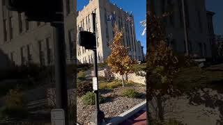 Unusual crosswalk signal at 24th Street near I480 at Creighton University Who else has seen this [upl. by Richarda]