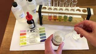 How pH effects enzyme activity [upl. by Elbring]