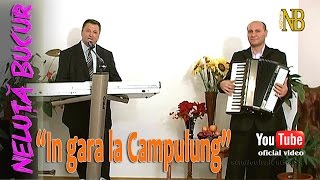 NELUTA BUCUR  In gara la Campulung live video [upl. by Llewellyn856]