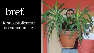 Bref Je suis professeur documentaliste [upl. by Nostrebor]