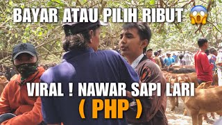 MAR4H BENERAN❗️NAWAR SAPI LARI atau PHP Akhirnya Ribut ini yang Terjadi [upl. by Saltzman803]