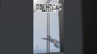 飛行機は行方不明になってから37年後に着陸した。 実話怪談 実話 [upl. by Heymann]