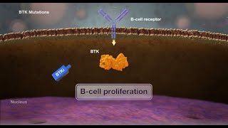 Mechanism of Brutons Tyrosine Kinase BTKMutations [upl. by Artenak]