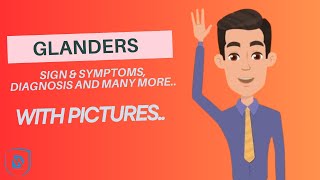 Glanders disease  Equine Farcy  Symptoms diagnosis amp many more  DH Vet Animations [upl. by Adaminah]