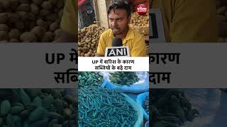 Uttarpradesh में बारिश के कारण सब्जियों के दाम 7वें आसमान पर HeavyRainfall upnews vegetableprice [upl. by Aeret]