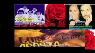 Poemas de los acosta temerarios y bryndis [upl. by Trutko]