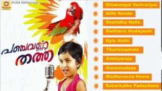 Mappilapattukal  Panchavarnna Thatha  Malayalam Mappila Songs  Audio Jukebox [upl. by Melany]