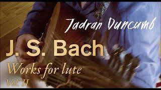 J S Bach  Works for lute Vol2  J Duncumb [upl. by Noremak]