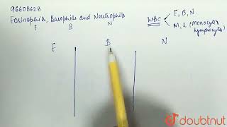 Eosinophils Basophils and Neutrophils  CLASS 12  DISTINGUISH BETWEEN  BIOLOGY  Doubtnut [upl. by Htiffirg440]
