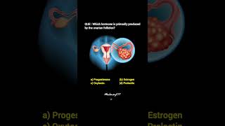 Ovarian follicles hormone  female ovary  explore neetmcqs humananatomy science biology viral [upl. by Mafalda358]