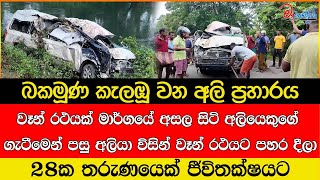 වෑන් රථයක් මාර්ගයේ අසල සිටි අලියෙකුගේ ගැටීමෙන් පසු අලියා විසින් වෑන් රථයට පහර දීලා [upl. by Norok405]