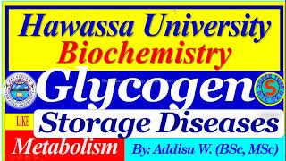 Glycogen Storage Diseases glycogenesis glycogenolysis glycogen metabolism [upl. by Aerua]