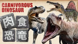 【肉食恐竜★Carnivorous dinosaur】ティラノサウルススピノサウルスも登場！強くてかっこいい肉食恐竜図鑑！Tyrannosaurus Spinosaurus [upl. by Shaughnessy847]