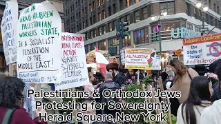 Palestinians amp Orthodox Jews Protest [upl. by Australia]