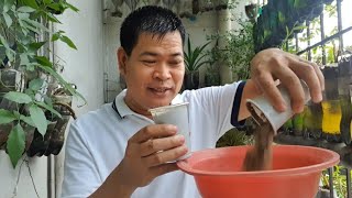 PAANO GUMAWA NG MATABANG LUPAEFFECTIVE NA GARDEN SOIL with ENG subs [upl. by Kari]