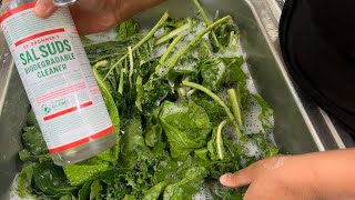 Wash Collard Greens Like Clothes For the CLEANEST Greens 🛑 Using SALT How to Clean Greens [upl. by Aisor699]