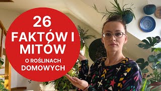 Fakty i mity o roślinach domowych 🌱 Vlog [upl. by Bab]