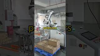 palletizers cobot robot palletizer [upl. by Merri]