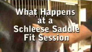 What Happens in a Schleese Saddlery Saddle Fitting Session [upl. by Cioban]