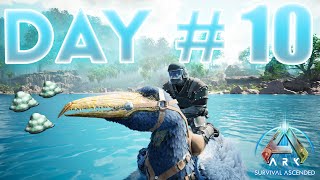 ALPHA Dragon and TAMING Pelagornis Day 10 ARK Official PvP [upl. by Neehar]