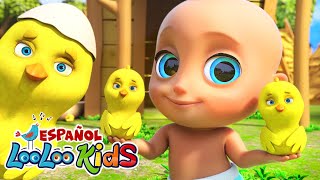 🐤🐥Los Pollitos Dicen Pio Pio  Canciones Infantiles LooLoo Kids  Canciones Divertidas para niños [upl. by Bobina947]