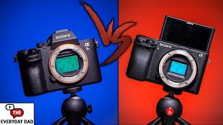 Sony A7III VS Sony A6400  Why Pay Twice as Much [upl. by Ujawernalo]