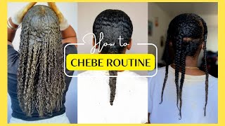 14 Days with Chebe Powder in My Hair  How I Refresh My Braids  Week 7 Growth Challenge [upl. by Knitter186]