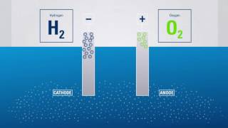 Electrolysis Producing hydrogen from water [upl. by Ahsenac]