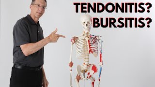 What is Causing Your Shoulder Pain Tendonitis Bursitis How to Know [upl. by Hutner252]