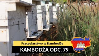 Kambodża  Pszczelarstwo w Kambodży odc 79 [upl. by Smallman563]