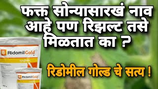 रीडोमिल गोल्ड चे फायदे  Ridomil Gold Fungicide  रीडोमिल गोल्ड digitalyuvashetkari [upl. by Larry]