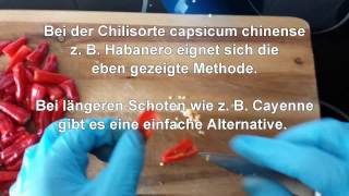 Chili schnell und einfach im Ofen trocknen Ideal für Chiliflocken und Chilipulver [upl. by Atiuqal201]