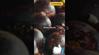 Mangosteen Benefits amp Drawbacks facts fruitknowledgeMangosteen [upl. by Merriam]