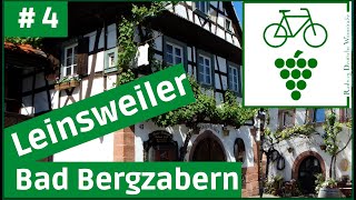 Deutsche Weinstraße 🍇4 die Toscana Deutschlands  Leinsweiler  Bad Bergzabern RADTOUR DOKU [upl. by Mauri933]